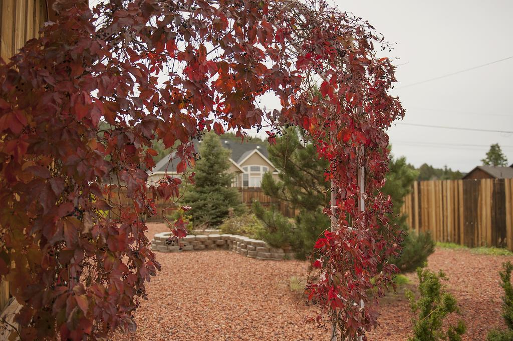 Grand Canyon Bed And Breakfast Williams Kültér fotó